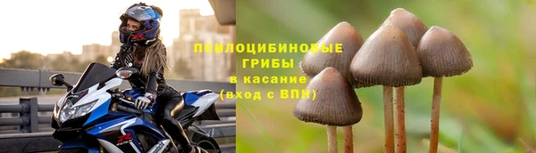 крисы Заволжье